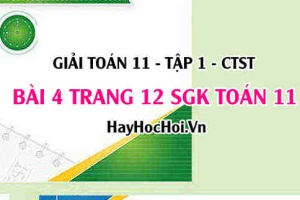 Giải bài 4 trang 12 Toán 11 tập 1 SGK Chân trời sáng tạo